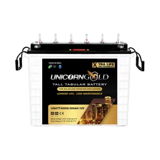 Tall Tubular Inverter Battery